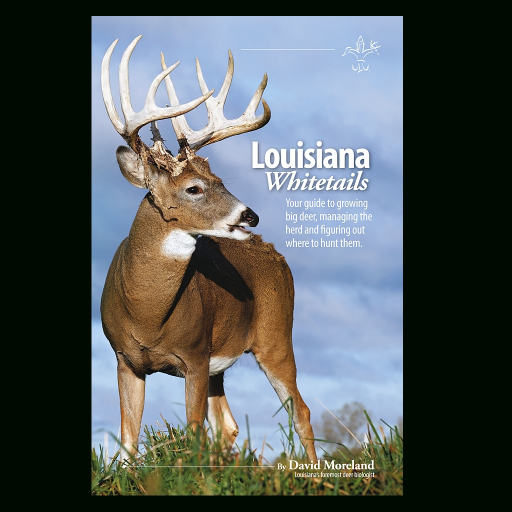 Pin By Sportsman Gear On Hunting | Deer Rut, Deer, Big Deer-Louisiana Deer Rut Calendar