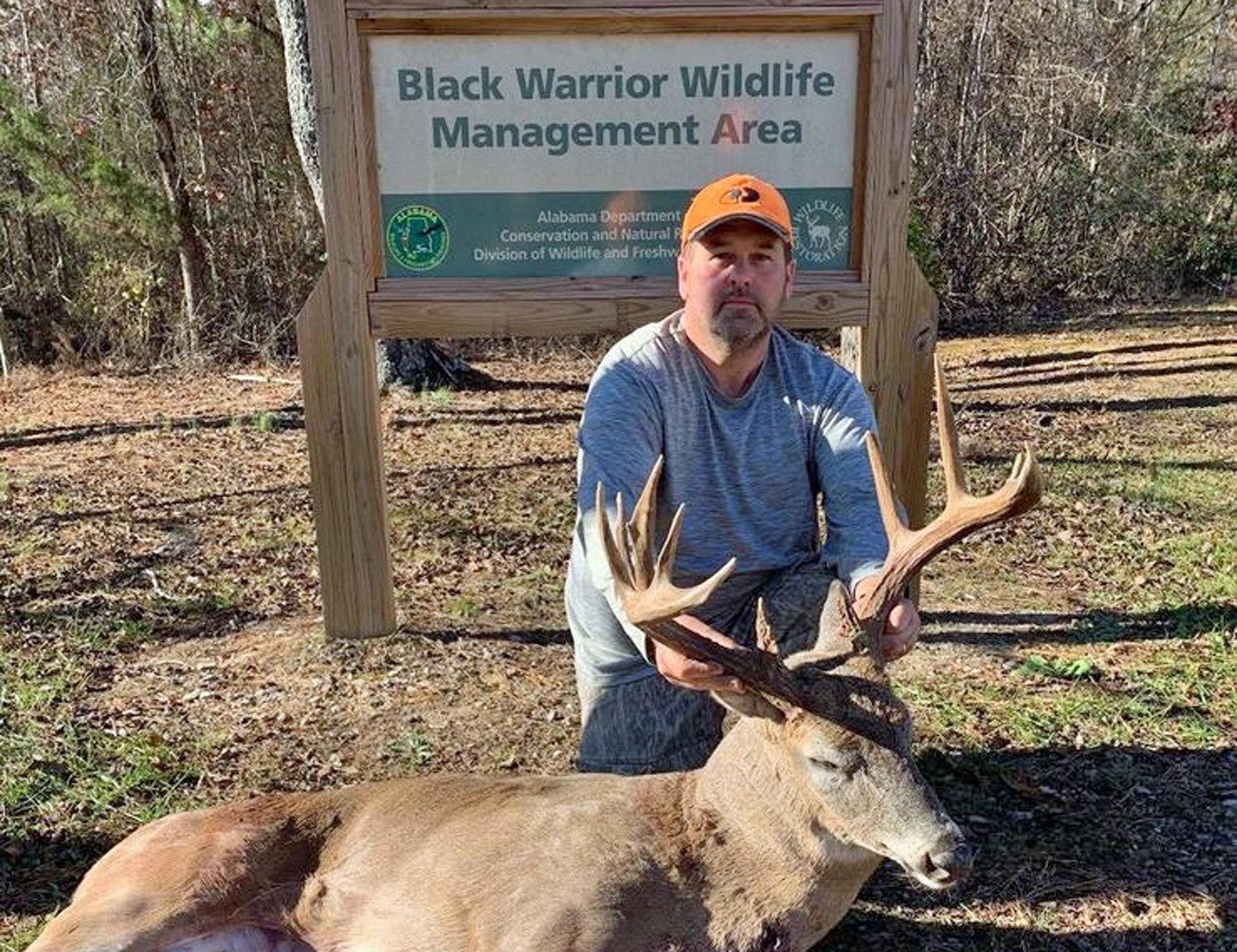 Public Land Provides Opportunities To Hunt Rut All Season-White Tail Deer Rutt Nc 2021