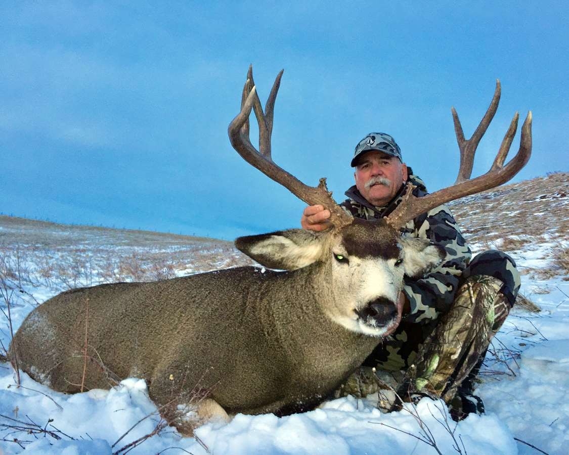 Rifle Mule Deer Hunt (Rut!) 2021-Hunting The Rut In 2021