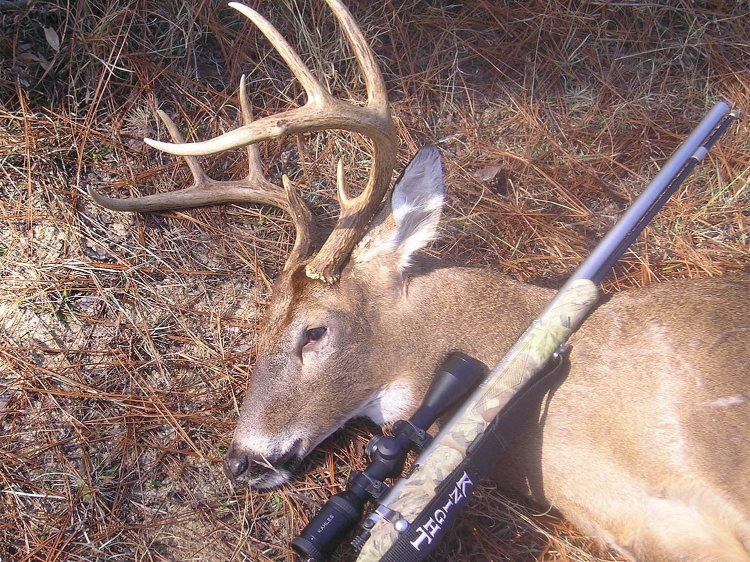 The 2020 Deer Hunting Season Forecast | Outdoor Life-Deer Rut Forecast 2021