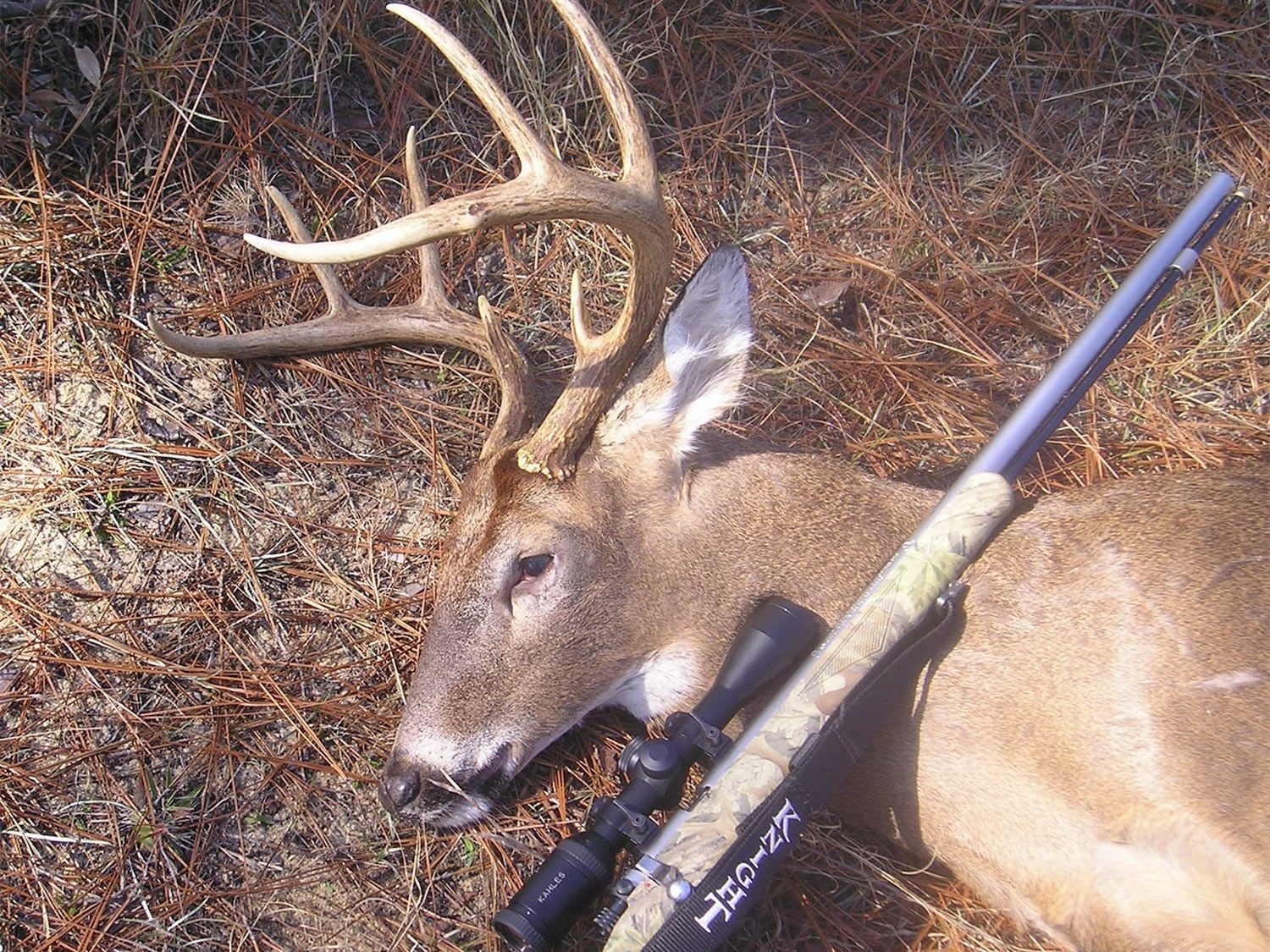 The 2020 Deer Hunting Season Forecast | Outdoor Life-Indiana 2021 Deer Rut