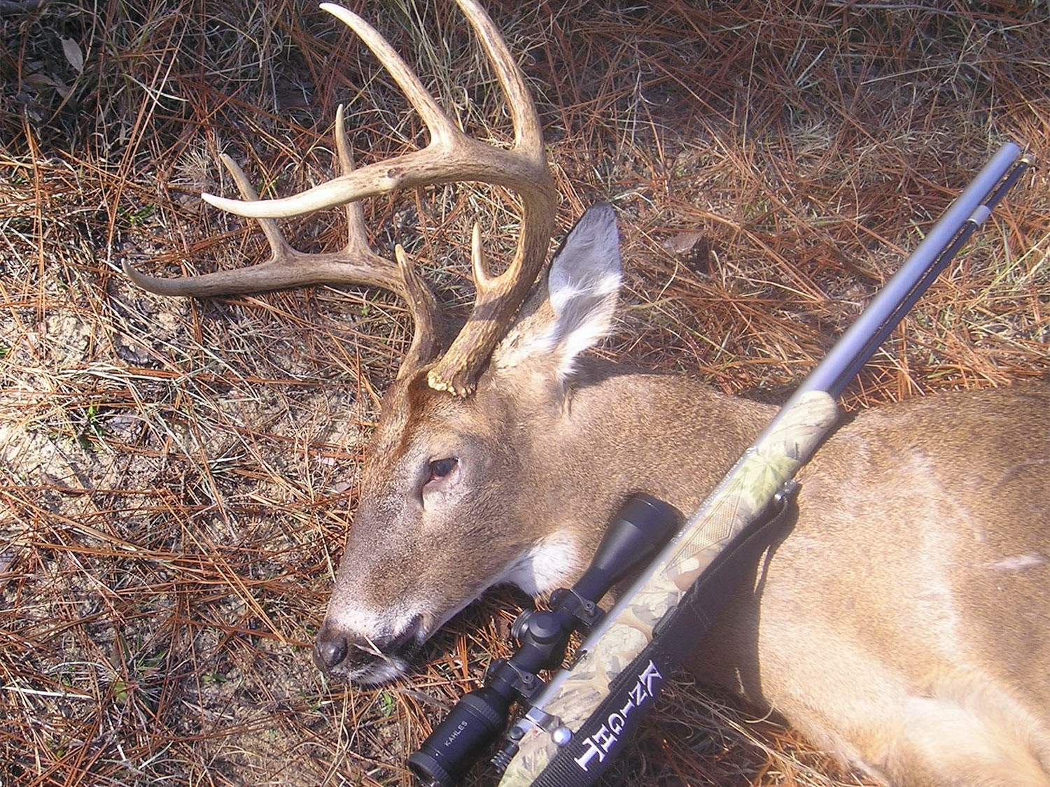 The 2020 Deer Hunting Season Forecast | Outdoor Life-White Tail Deer Rutt Nc 2021