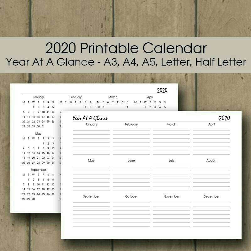 2021 Daily Planner Insert 365 Day 2021 Diary Printable A4-Hourly Daily Calendar 2021