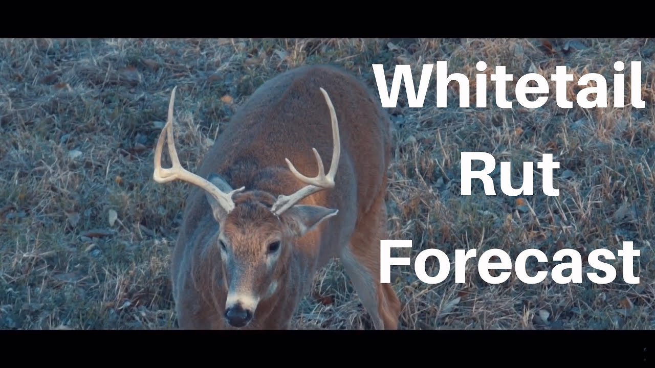 2021 Deer And Deer Hunting Rut Calendar | Calendar-2021 Whitetail Rut Callendar In Ohio