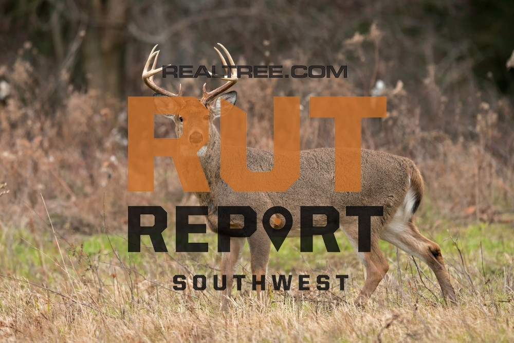 Deer And Deer Hunting Rut Forecast Nys | Calendar Template-Deer Hunting Prediction Calendar