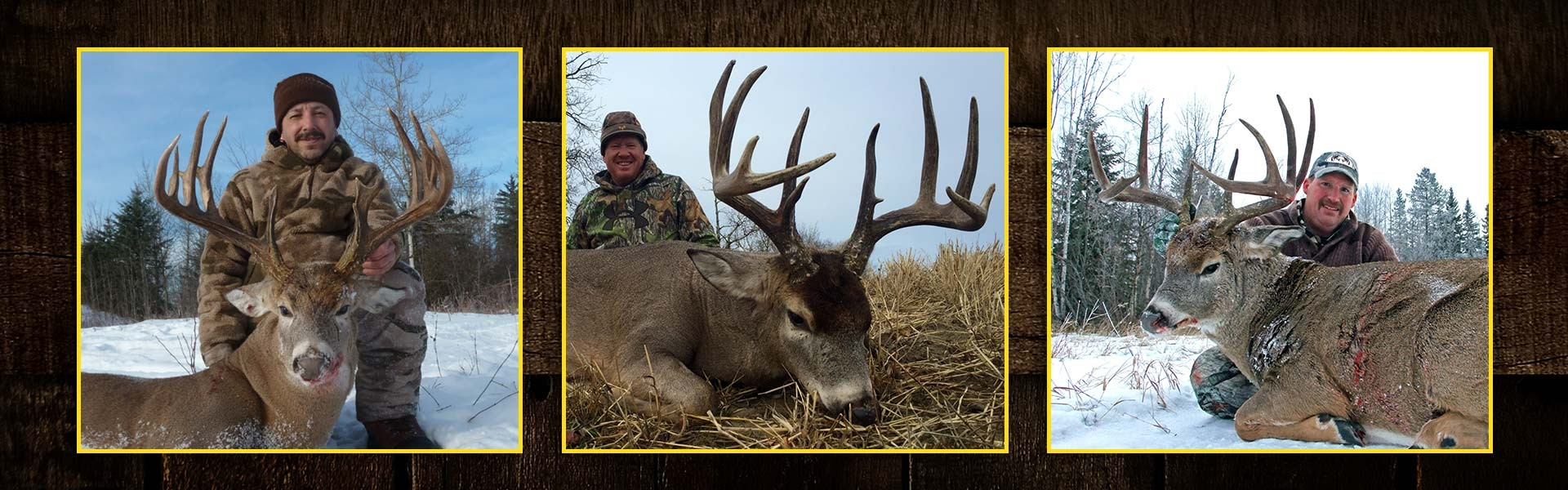 Guided Alberta Rifle Whitetail Hunts - Alberta Whitetail-When Is Deer Rut In Mass