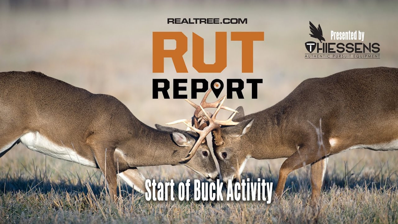 Illinois Deer Rut Report 2020 | Calendar Printable Free-Rut Map For Ill