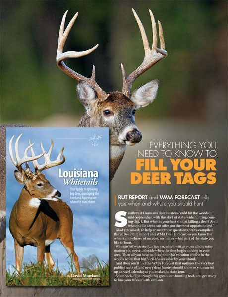 Lousiana Deer Rut For 2021 | Calendar Printables Free Blank-Deer And Deer Hunting Rut Calendar