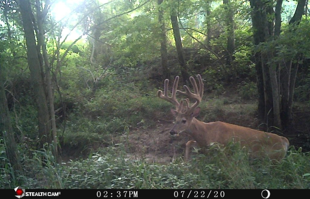 Midwest Illinois Archery Rut Hunt. - The Hunt Exchange-Rut Map For Ill