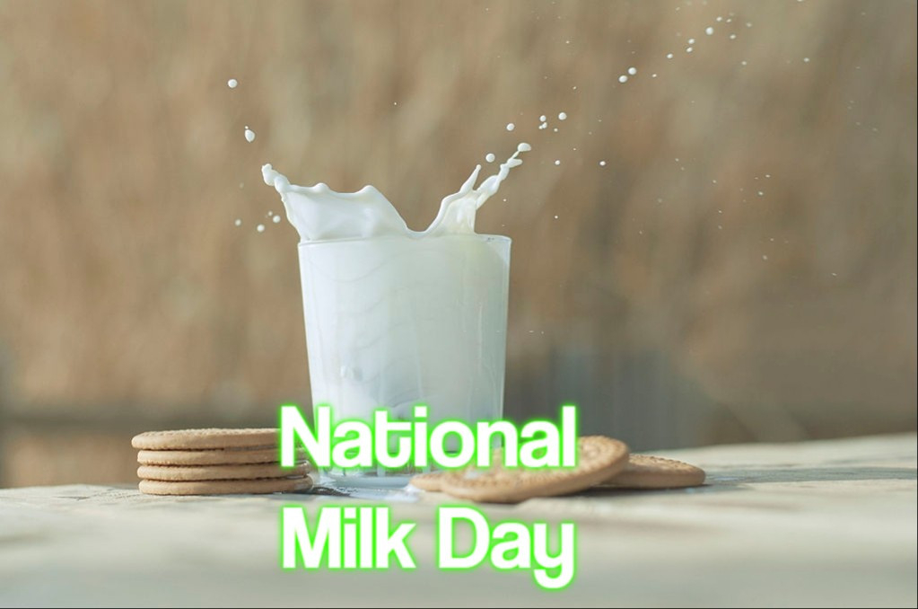 National Milk Day 2020 - When, Where And Why It Is Celebrated?-National Food Calendar Days 2021