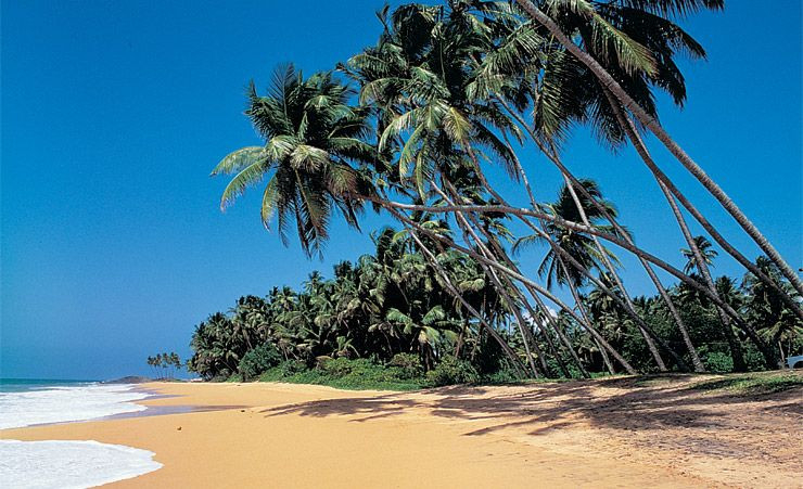 Sri Lanka Holidays - Holidays To Sri Lanka In 2020/2021-Mercentile Holidays In Sri Lanka 2021