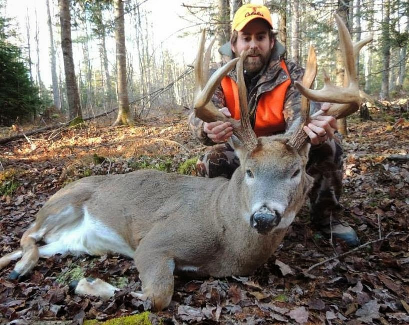 What'S New At Hargrove And Bauer Outdoor Adventures: 2013-When Is Deer Rut In Mass