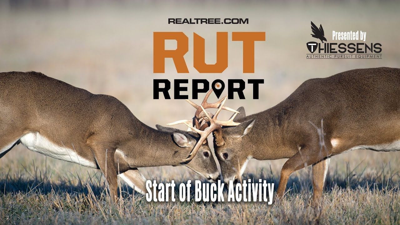 Deer Rut In Indiana 2021 Calendar Template Printable