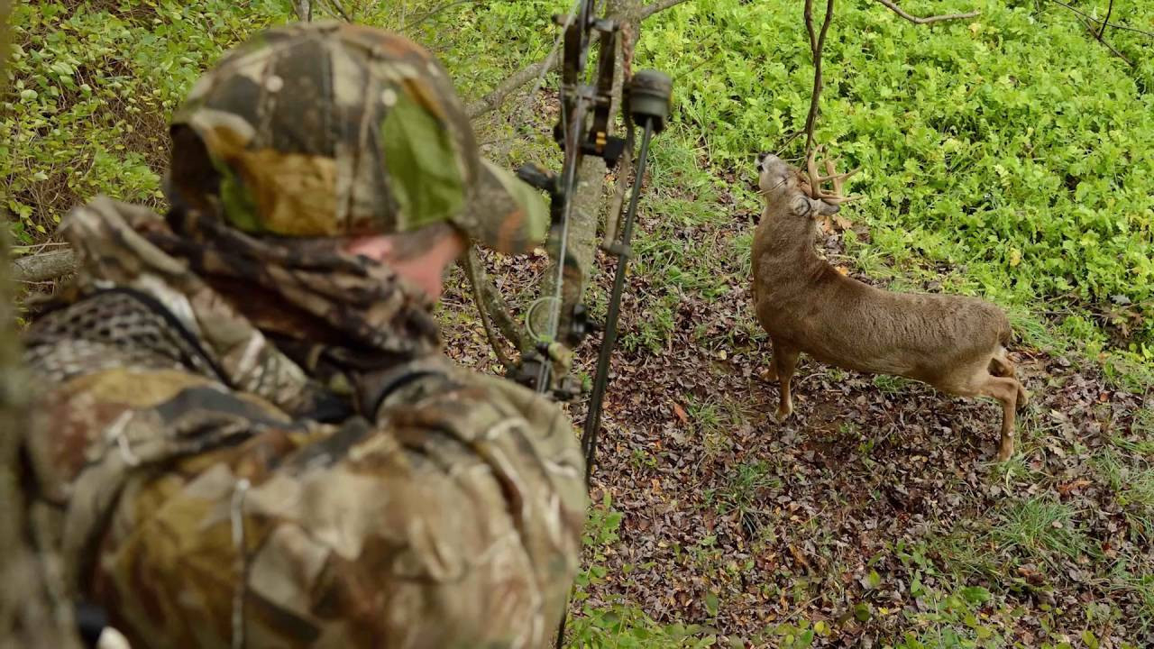 2016 Whitetail Rut Predictions With Charles Alsheimer-What Is The Whitetail Rut Prediction For 2021