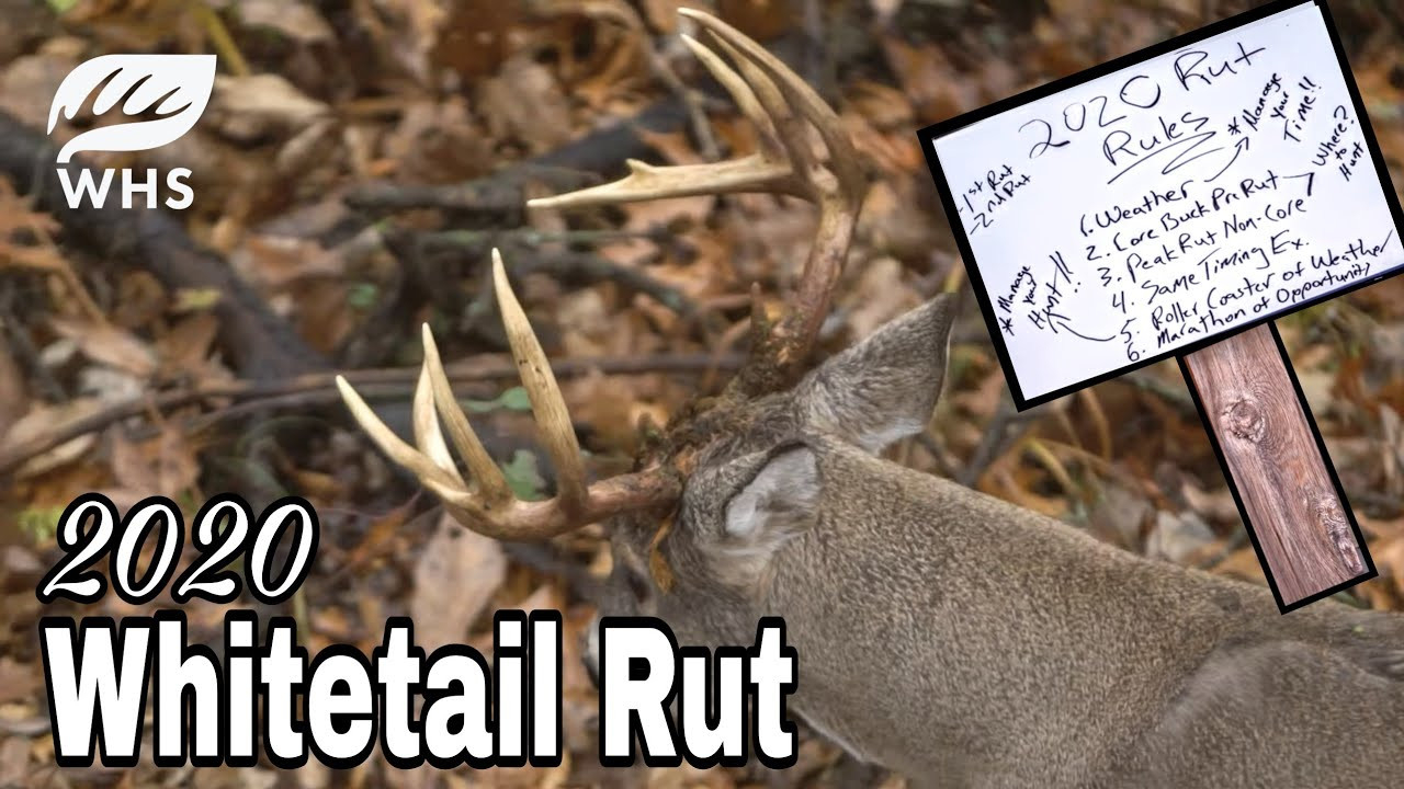 2020 Whitetail Rut Forecast | Rut Rules - Youtube-2021 Pa Rut Predictions