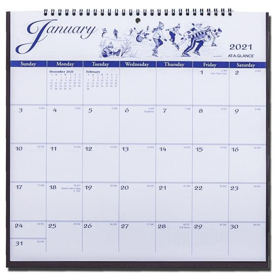 2021 At-A-Glance G1000-17 Illustrated Monthly Wall-Bill Calendars 2021