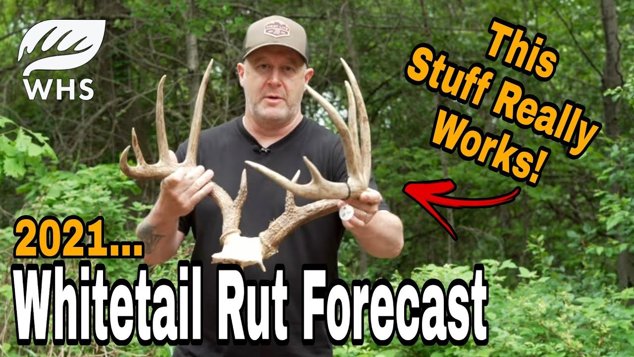 2021 Whitetail Rut Forecast - Youtube-2021 Deer Rut Prediction In Va