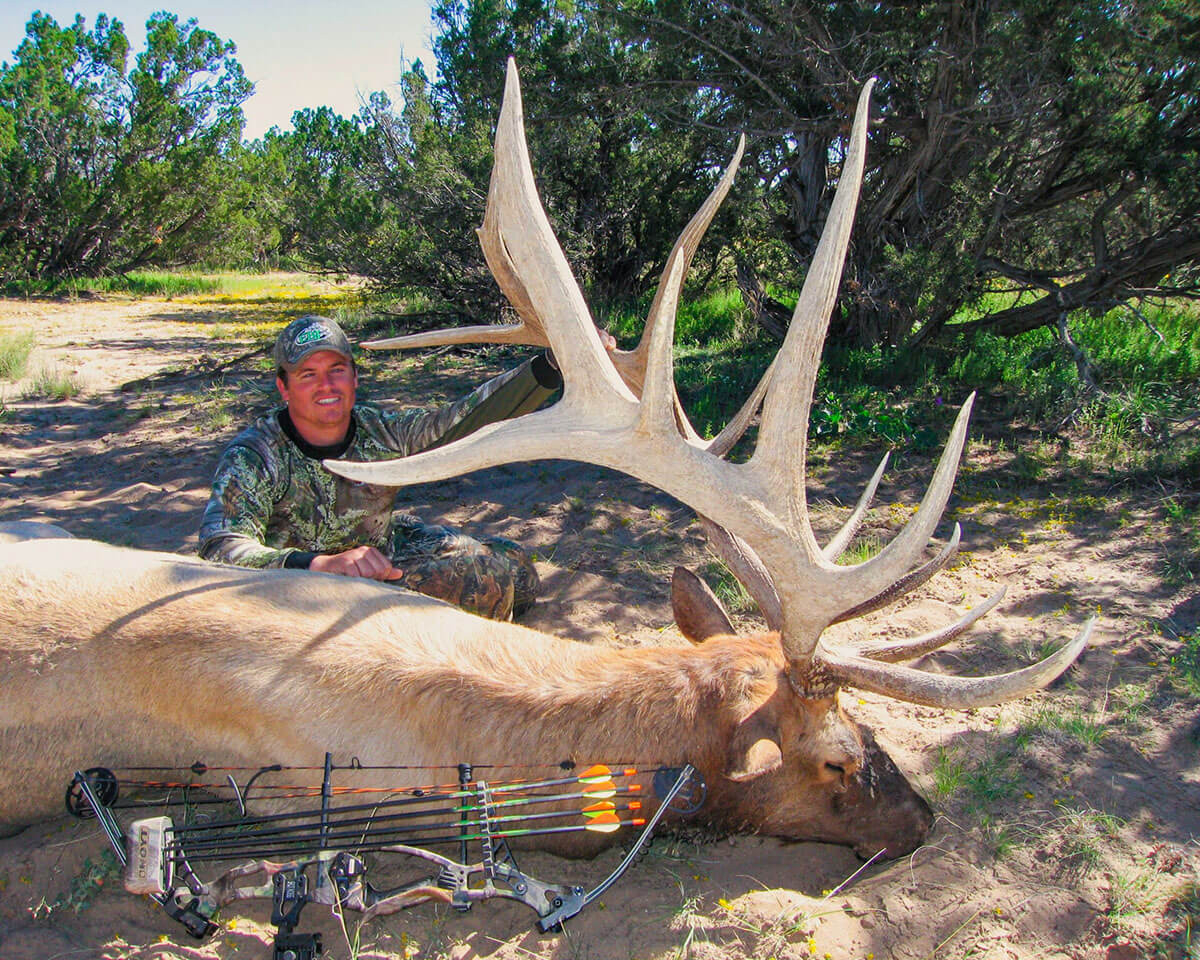Archery Bull Elk Hunts - Bmo Hunts-Area 1 In Louisiana Deer Rut