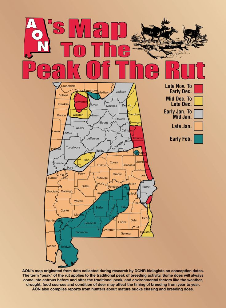 Decoding The Rut In 2021 Deer And Deer Hunting Rut-2021 Deer Rut Prediction