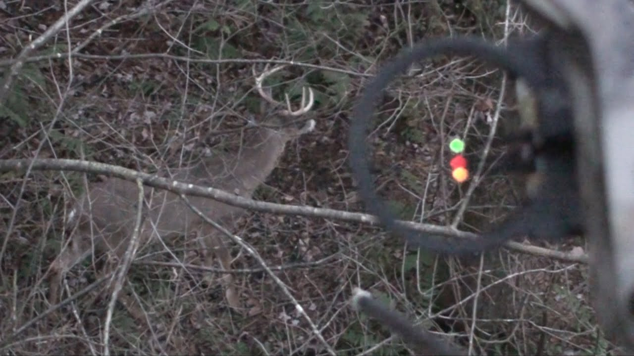 Deer Hunting The Rut 2013 November 9Th - Youtube-When Does Deer Rut Start In Pa