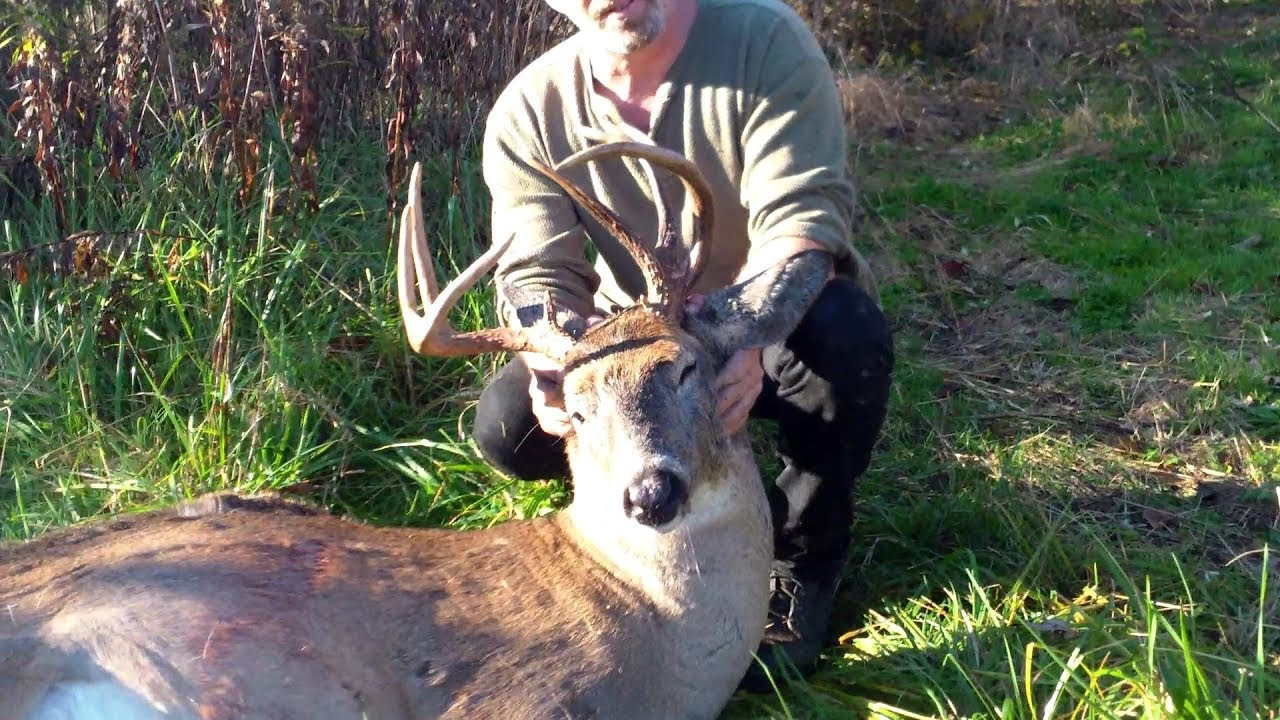 Deer Hunting The Rut - Nice Ohio Buck - Youtube-Ohio 2021 Deer Rut