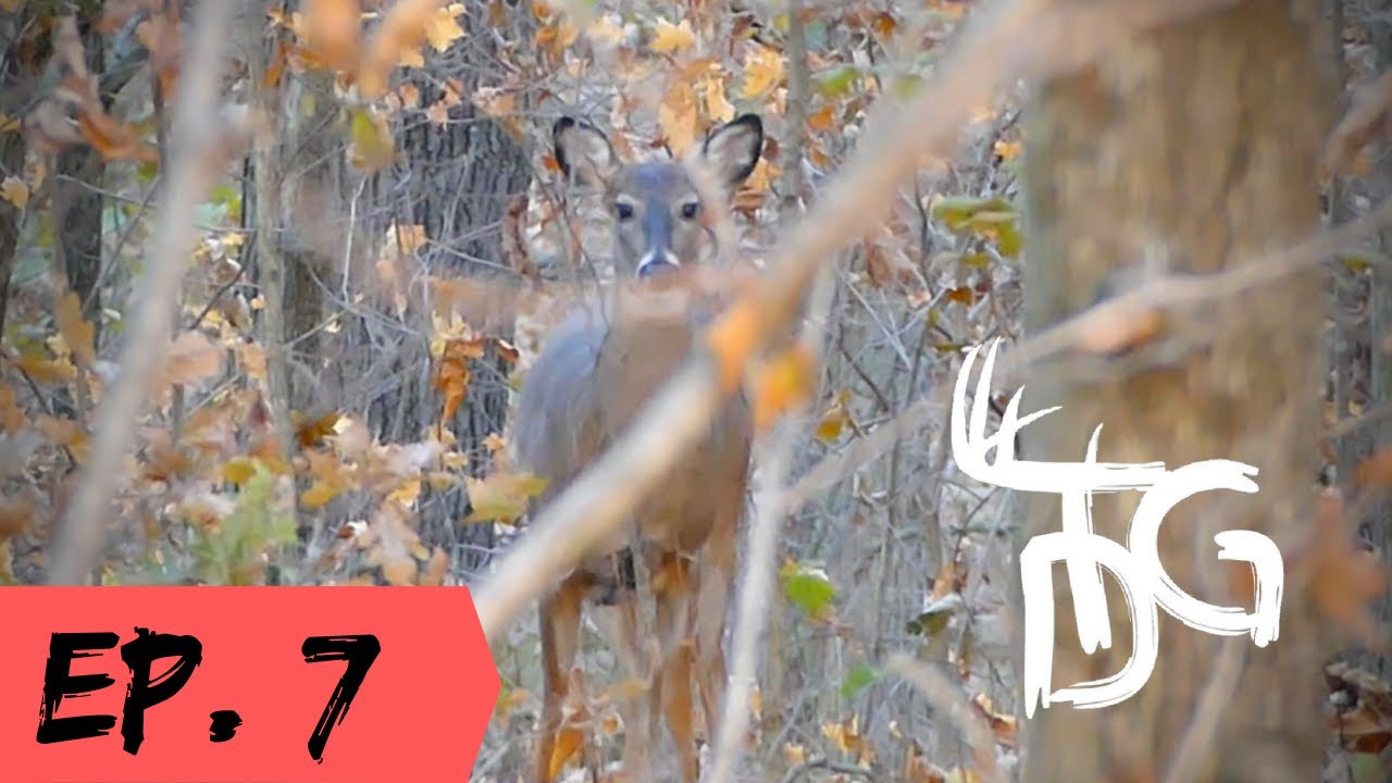 Ep. 7 - &quot;Cumberland Co. Illinois Rut Hunting - First Deer-Il. Deer Rut Forcast