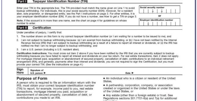 Irs W9 Pdf 2021 Blank W9 Form 2021-2021 Blank W-9