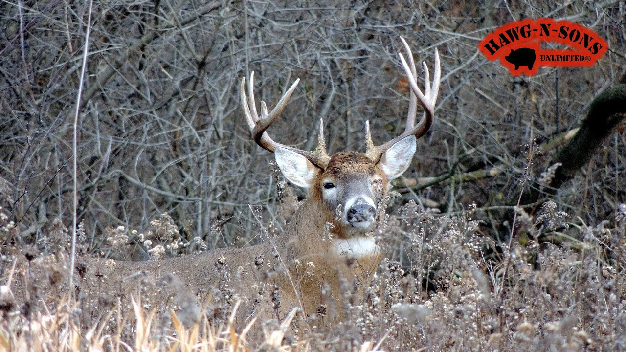 November 2 - 5 Best Self-Filmed Illinois Deer Hunt Ever-Il. Deer Rut Forcast
