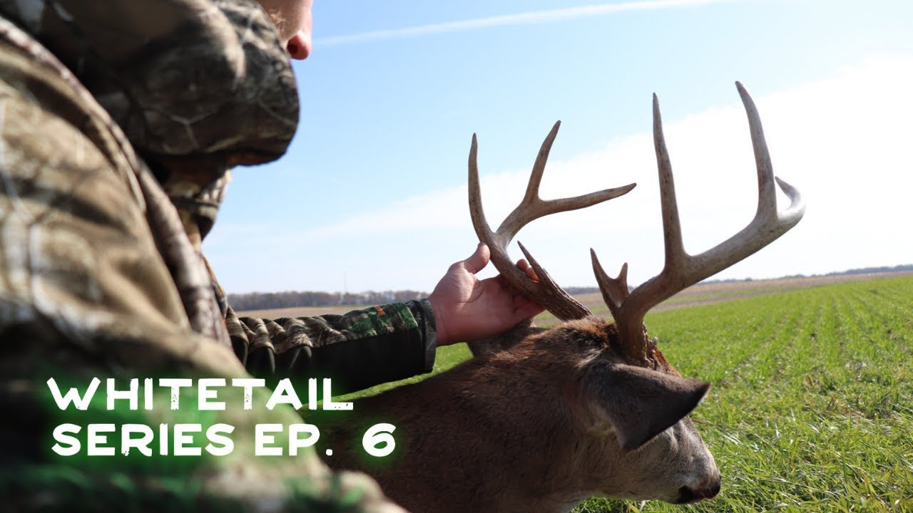 Ohio Rut Buck | How To Call In A Buck During The Rut-Ohio 2021 Deer Rut