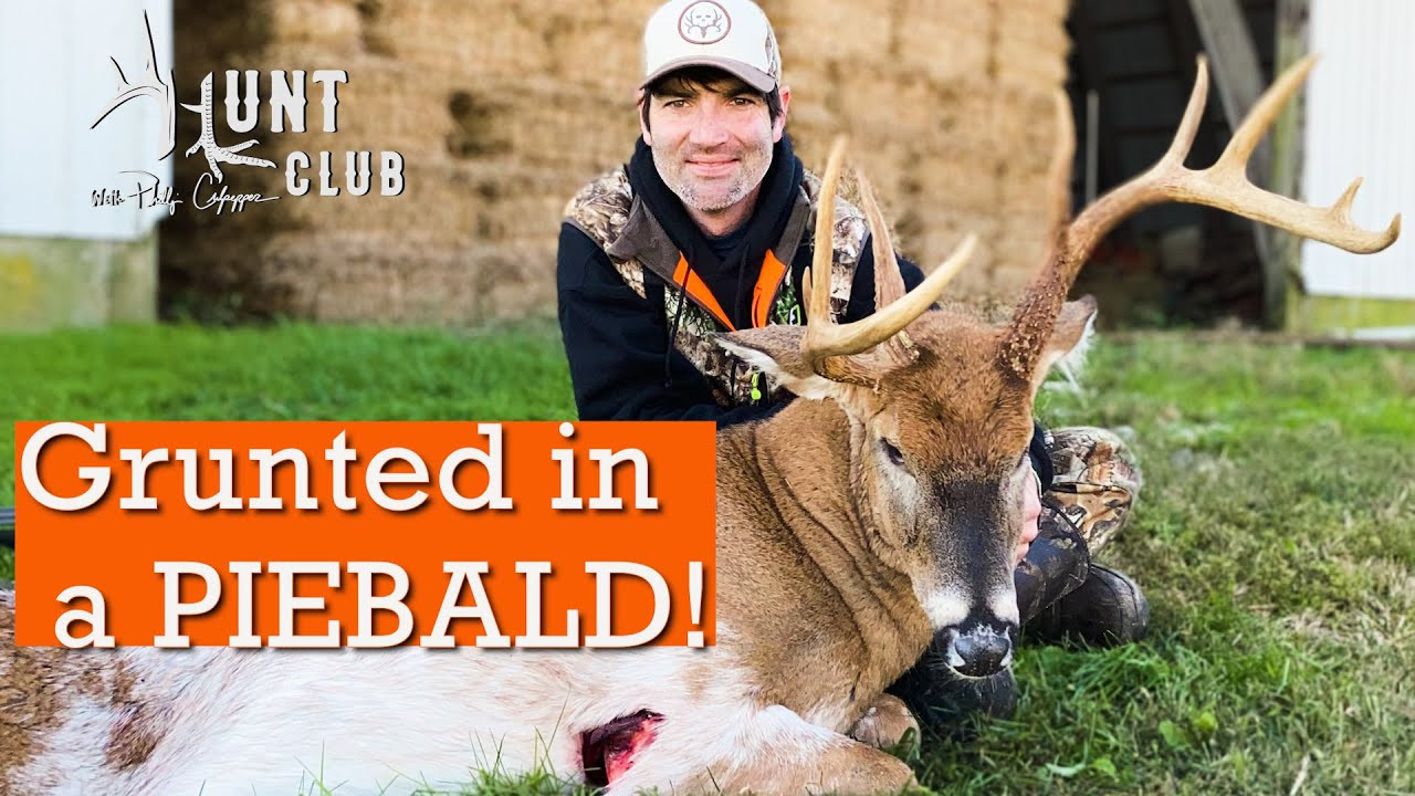 Piebald On The Eastern Shore | Maryland Deer In Rut - Youtube-When Is The Rut In Maryland 2021