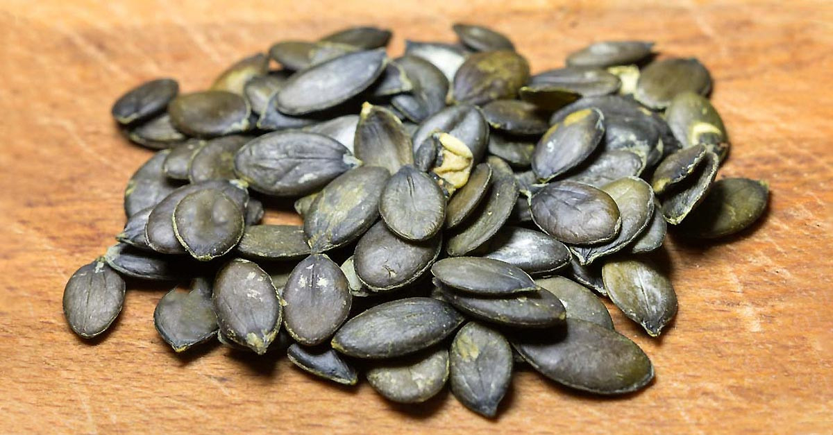 Tag Der Kürbiskerne In Den Usa - National Pumpkin Seed Day-2021 National Food Holidays