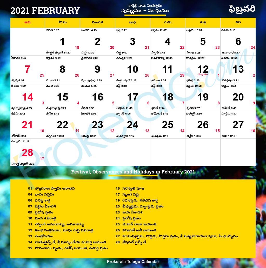 Telugu Calendar 2021, February-2021 Calendar Sun To Sat