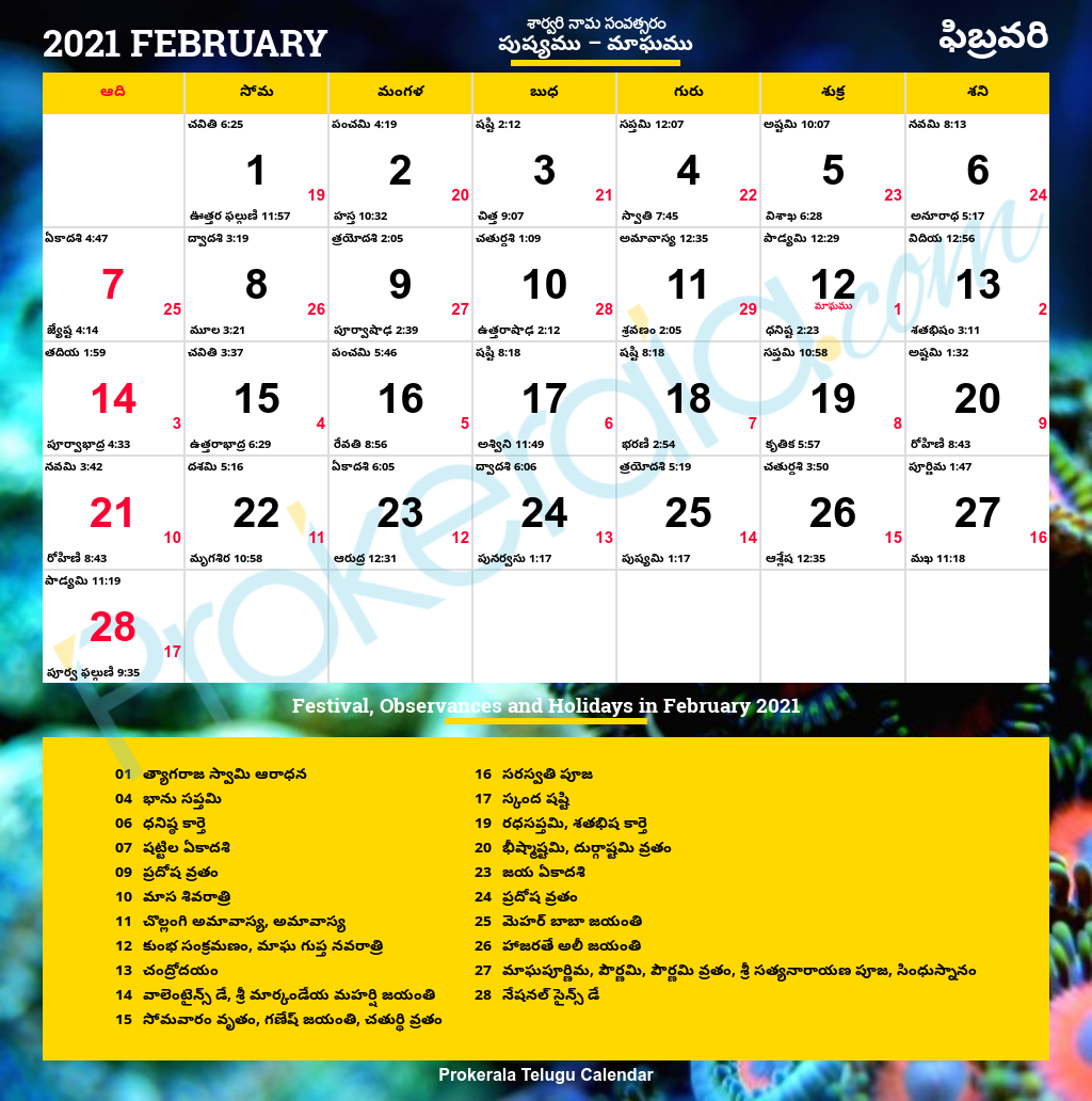 2021 Calendar Sun To Sat | Calendar Template Printable