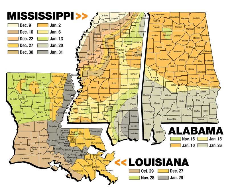 The Myth That Mature Bucks Move More In Colder Weather Or-Lousiana Deer Rut For 2021