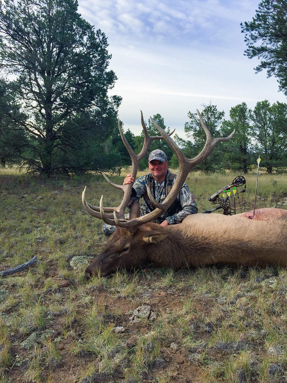 Trophy Bull Elk Hunting New Mexico | Bmo Hunts-Area 1 In Louisiana Deer Rut