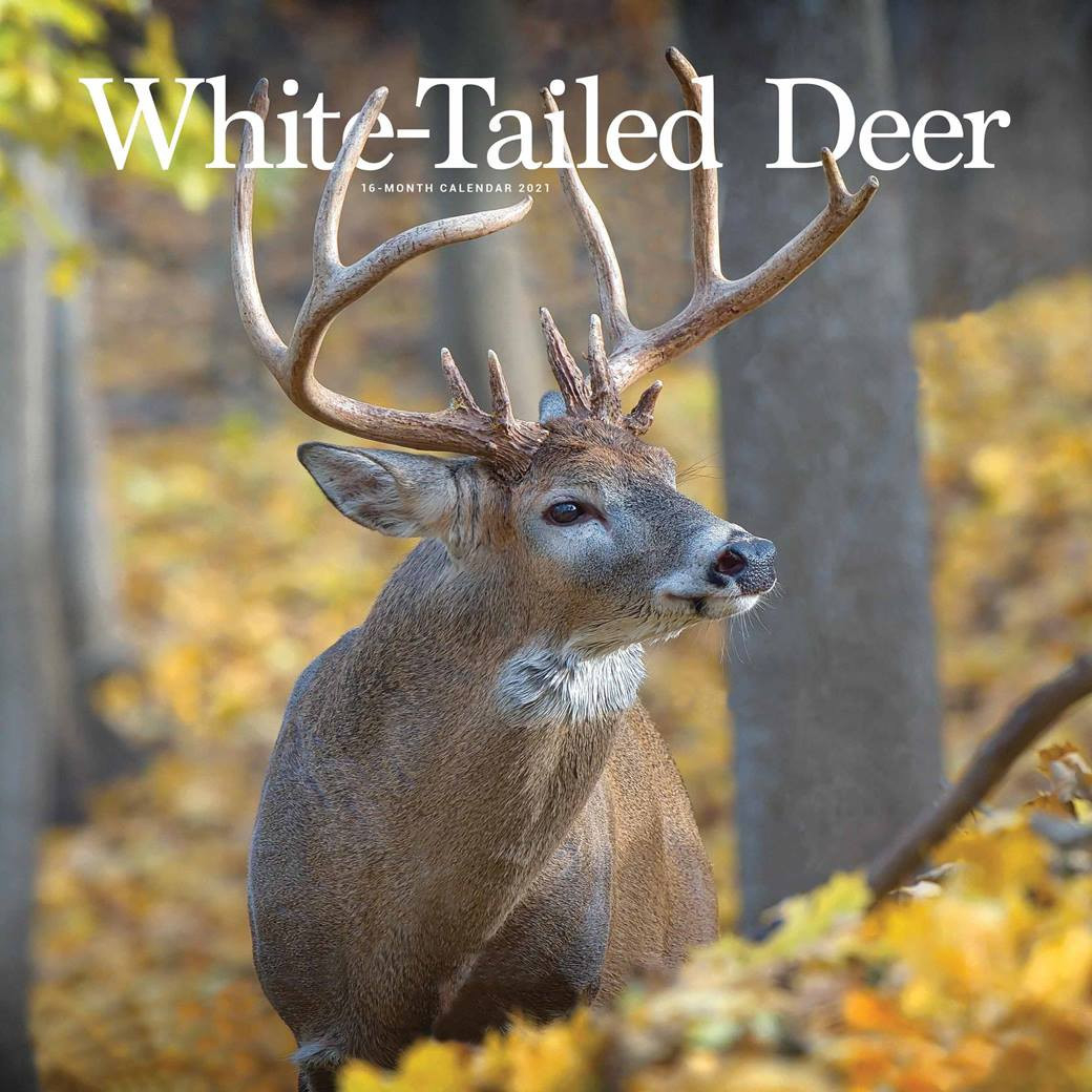 White-Tailed Deer Calendar 2021 At Calendar Club-Deer Hunting Calendar 2021