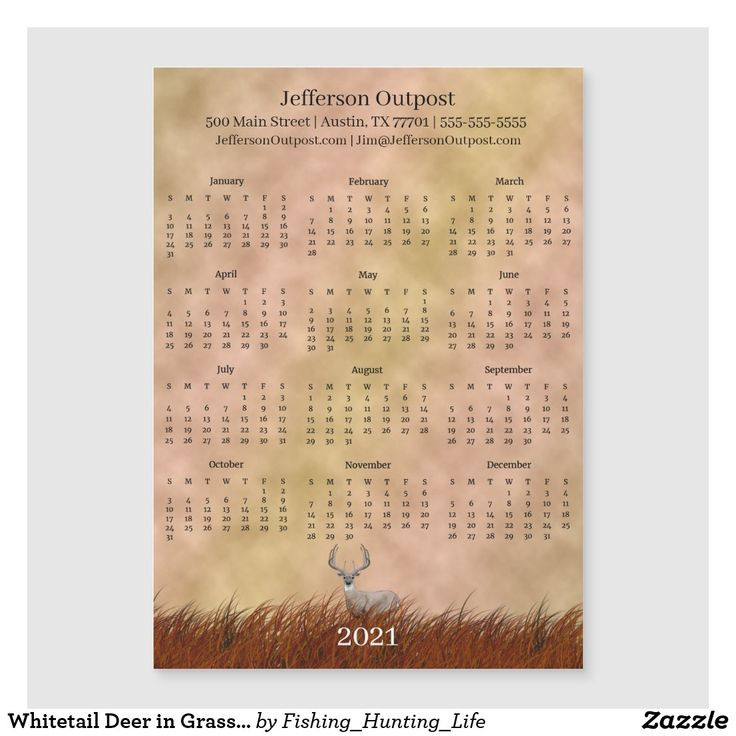Whitetail Deer In Grasses 2021 Calendar Magnet | Zazzle | Magnetic Calendar, Whitetail Deer-Deer And Deer Hunting 2021 Whitetail Calendar