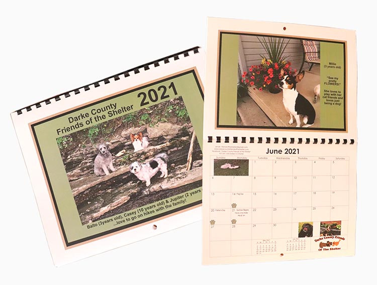 Your Pet Can Be A Star - County News Online-Greenville County School Calendar 2022